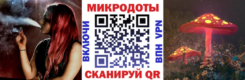 Псилоцибиновые грибы Cubensis  Гвардейск 