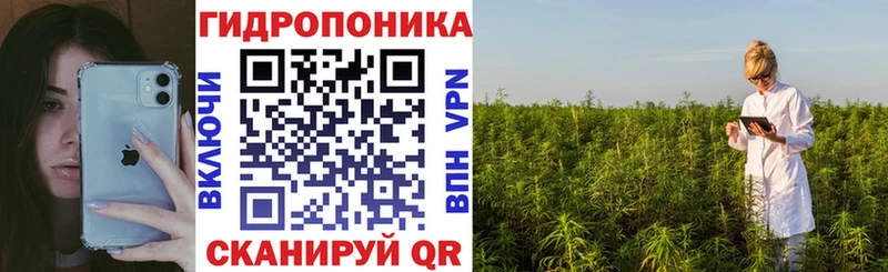 Конопля индика Гвардейск